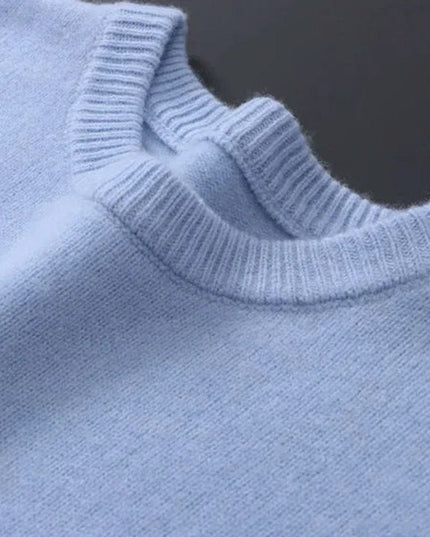 Men's Crewneck Pullover Sweater in Brushed Winter Knit