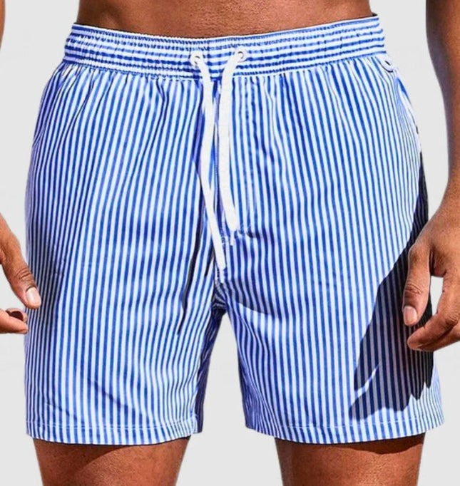 Men's Pinstripe Drawstring Swim Shorts