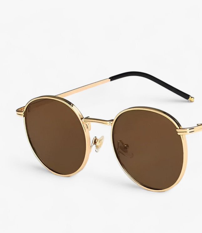 Men's Round Metal Frame Sunglasses with Tinted Lenses