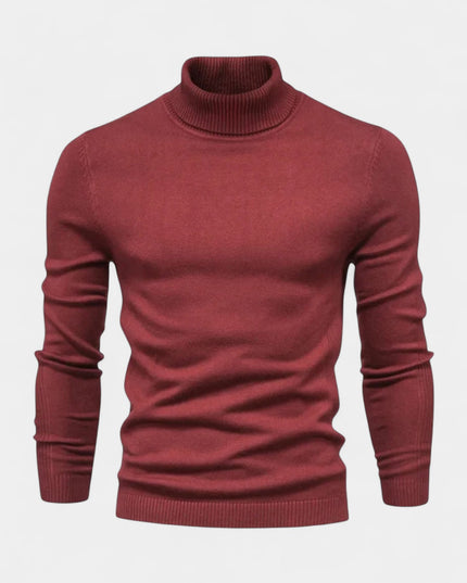 Men's Slim Fit Ribbed Turtleneck Sweater